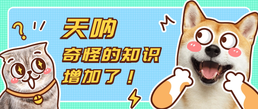 2024上海居转户政策！7年、5年、3年落户上海条件及流程！